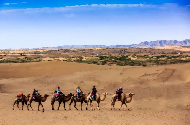 研学掠影——沙漠之舟