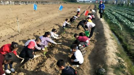 研学掠影——学种菜